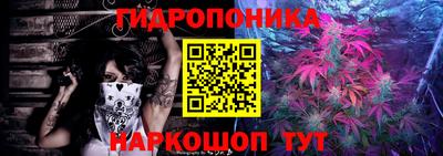 Альфа ПВП Будённовск