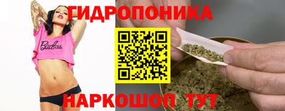 Альфа ПВП Будённовск