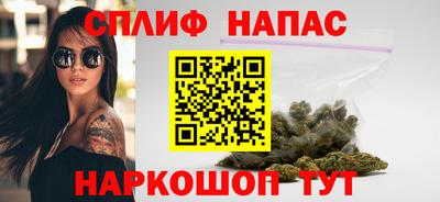 Альфа ПВП Будённовск