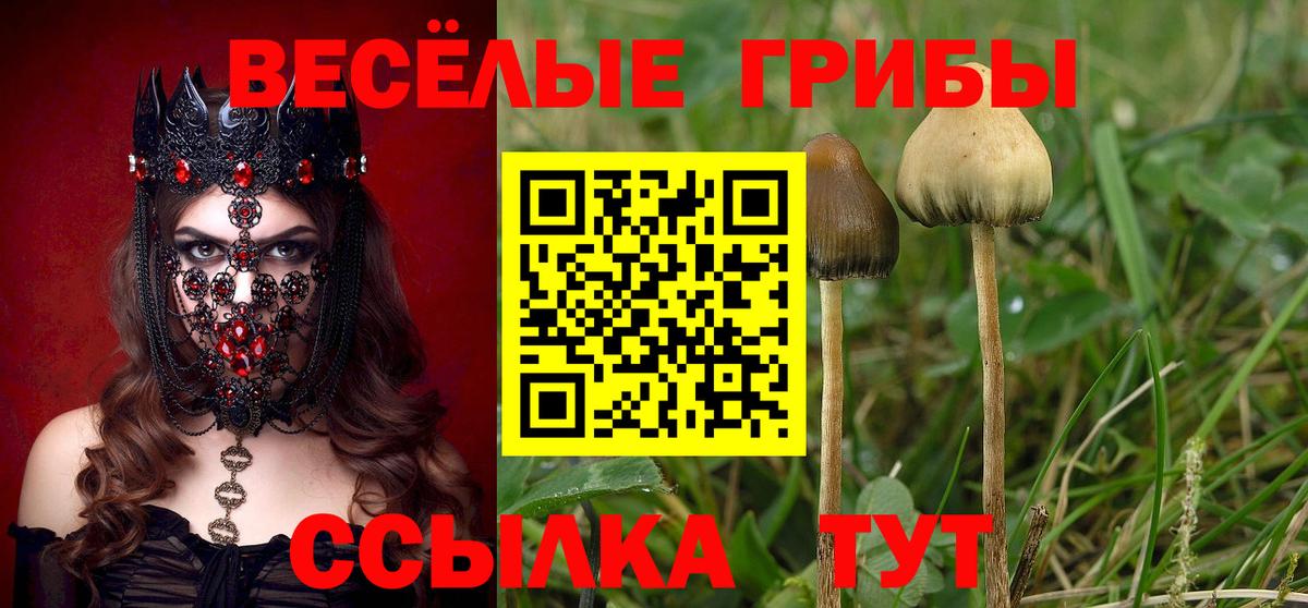 Псилоцибиновые грибы мухоморы Чернушка